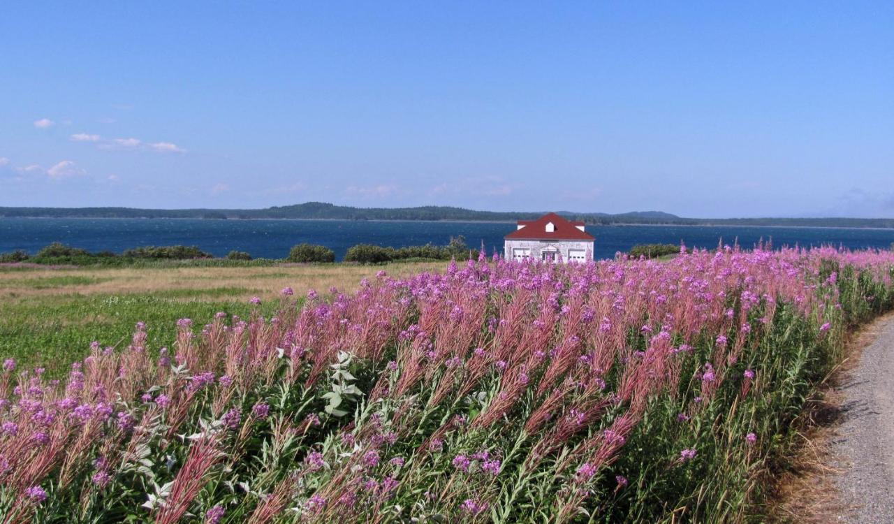 Lubec West Quoddy Station Llc酒店 外观 照片